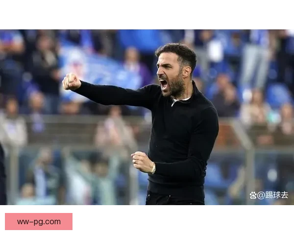 法布雷加斯宣布退役 结束辉煌职业生涯将在意乙科莫俱乐部告别足球